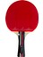 Ittf Onaylı Masa Tenisi Raketi 4* Çift Taraflı AR1012 2