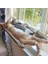 Kedi ve Köpek Için Cama Sabitlenen Hamak / Tünek 6