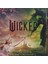 Ariana Grande, Cynthia Erivo - Wicked The Soundtrack (Limited Pink & Green Vinyl Edition) - Plak 2