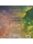 Ariana Grande, Cynthia Erivo - Wicked The Soundtrack (Limited Pink & Green Vinyl Edition) - Plak 3