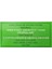 Ariana Grande, Cynthia Erivo - Wicked The Soundtrack (Limited Pink & Green Vinyl Edition) - Plak 4