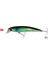 Wave Cl:56 70MM 4gr 0-0.6m F Suni Balık 1
