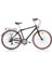Rubino Deluxe Gent Alloy 21 Vites Şehir Tur Bisikleti 1