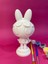 Powerpuff Girls – Blossom Figür Boyama Seti 15 cm 3D Yazıcı Üretimi + 6 Renk Akrilik Boya + 2 Fırça 2