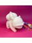 Bulbasaur Figür Boyama Seti | 15 cm | 3D Yazıcı Üretimi + 6 Renk Akrilik Boya + 2 Fırça 2