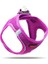 Air-Mesh Harness Köpek Göğüs Tasması Large Mor 10
