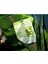 Répertoire Nemlendirici Maske Aloe Vera Ve Deniz Suyu 1
