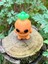 Havuç Oyuncak Figür - Kutunun En Cesur Zıplayanı 🥕3d Hareketli Organik Model -Orta Boy 5