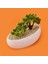 Desenli Elips Saksıda Bonsai - Renkli - 24X33 cm 2