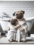 Komik Köpek Aile Banyo Tablosu Mizah Kanvas Tablo 2