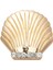 Gold Seashell Terlik Süsü (10008245-1) 1