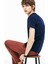 Bisiklet Yaka Basic Tshirt 2