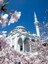 Ilkbahar Cami Kanvas Tablo Ev Duvar Salon Oda Mutfak Hol Hediyelik Dekarasyon Süsü Ölçü Seçiniz 2