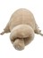 Yeni Tardigrade Simülasyon Böcekleri En Güçlü Deniz Yaratığı Su Ayısı Solucan Bebek Peluş Oyuncaklar (Yurt Dışından) 1