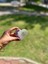 Hediyelik Magnet 3