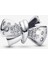 Işıltılı Fiyonk Charm 925 Ayar Gümüş 1