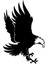 Avcı Kartal Oto Özel Yeni Sticker Siyah 20 x 30 cm 1