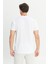 Pamuklu Slim Fit Dar Kesim Bisiklet Yaka Tişört 5