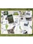200 Adet Ins Dekor Mini Çıkartmalar Kitap Estetik Kırtasiye Sanat Kolaj Önemsiz Dergisi Dıy Scrapbooking Craft Çıkartmalar (Yurt Dışından) 1