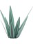 Büyük Tekila Rustik Heykeli, Açık Hava Veranda Bahçesi Için Rustik Metal Agave Bitkileri, Ev Dekoru El Boyalı Metal Agave, A (Yurt Dışından) 1