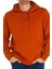 Erkek Logolu Kapüşonlu Sweatshirt-Tarçın 1