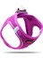 Air-Mesh Harness Köpek Göğüs Tasması Small Mor 10