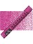 Neopastel Yumuşak Yağlı Pastel Purplish Red 350 2