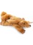 Catnipli Köstebek Kedi Oyuncağı 27 cm 1