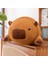 35CM Yuvarlak Top Su Yunusu Peluş Oyuncak Bebek Bebek Yastık Hediye (Yurt Dışından) 1