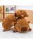35CM Yuvarlak Top Su Yunusu Peluş Oyuncak Bebek Bebek Yastık Hediye (Yurt Dışından) 3