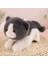 60CM Sevimli Kedi Peluş Oyuncak Bebek Bebek Yastık Hediye (Yurt Dışından) 1