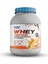 Whey Protein Tozu 1200 gr 40 Servis Portakal&çikolata 1