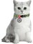 Collar Qr Pasaportlu Kedi Boyun Tasması 20-30 cm 10 mm "avocado" 2