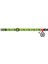 Collar Qr Pasaportlu Kedi Boyun Tasması 20-30 cm 10 mm "avocado" 4
