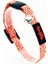 CAT COLLAR Easy & Safety Lock JAPAN 1