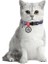 Collar Qr Pasaportlu Kedi Boyun Tasması 20-30 cm 10 mm "purple Camo" 2