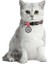 Collar Qr Pasaportlu Kedi Boyun Tasması 20-30 cm 10 mm "line" 2