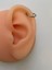 Çelik Düz Halka Piercing Tragus Lob Kıkırdak Helıx Unisex Model 3lü Set 3