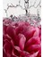 Petal Bloom Alüminyumsuz Tüm Vücut Stick Deodorant 85GR 5