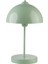 Yeni Lungo Yeşil Masa Lambası 3