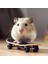 Hamster ve Kaplumbağa Için Mini Kaykay 1