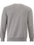 3 Iplik Pamuklu Erkek Sweatshirt Gri Relax Fit Basic Bisiklet Yaka Rahat Kesim Yumuşak Tuşe 5