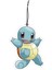 pokemon Squartle Görselli Çift Yönlü Dekoratif Oto Kokusu ve Oto Aksesuarı 1