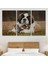 Yavru Kediler ve St Bernard Köpek, Hayvan Temalı Dekoratif Kanvas Tablo, Duvar Dekoru 1124 3