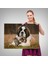 Yavru Kediler ve St Bernard Köpek, Hayvan Temalı Dekoratif Kanvas Tablo, Duvar Dekoru 1124 7