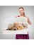 Uyuyan Yavru Kedi Ile Golden Köpek, Hayvan Temalı Dekoratif Kanvas Tablo, Duvar Dekoru 1176 7