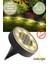 8 Led’li Solar Bahçe Lambası | 1 Adet | Su Geçirmez | Otomatik Sensörlü | Bahçe Aydınlatma | Sarı Işık 1