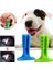 Bfs Köpek Diş Temizleyici ve Kaşıyıcı Sağlıklı Küçük Boy Oyuncak 1