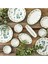 Yeşil 26 Parça 6 Kişilik Stoneware Kahvaltı Takımı, Şık ve Dayanıklı Tasarım 3
