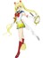 Hatsune Miku Anime Figürü Su Buz Ayı Sailor Moon Iki Boyutlu Bebek Figürü Model Süsleri (Yurt Dışından) 1